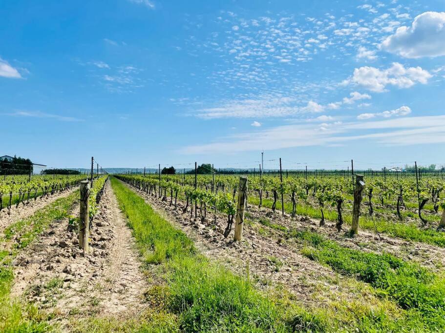 فيلا Waterfront Niagara-On-The-Lake Farmhouse On A Vineyard المظهر الخارجي الصورة